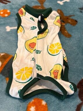 Avocado & Lemon Print Small Pet Bodysuit in Cream with Green Trim Xs